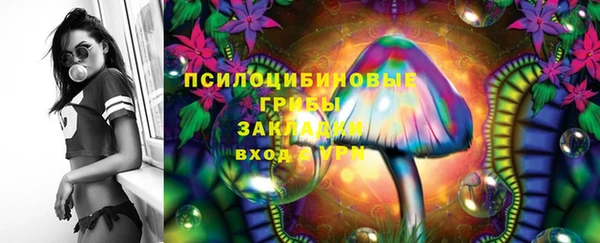 PSILOCYBIN Козельск