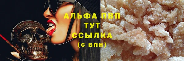 гидра Козловка