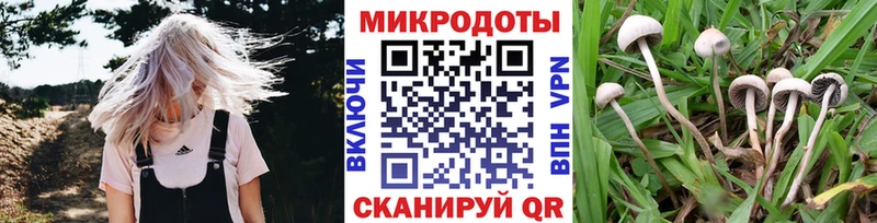 kraken вход  Луза  Галлюциногенные грибы GOLDEN TEACHER 